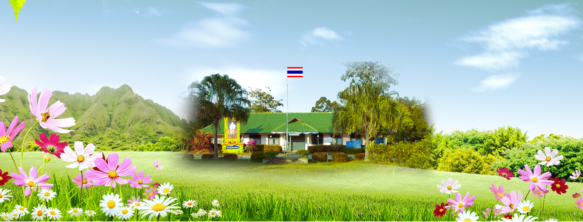 พื้นหลัง